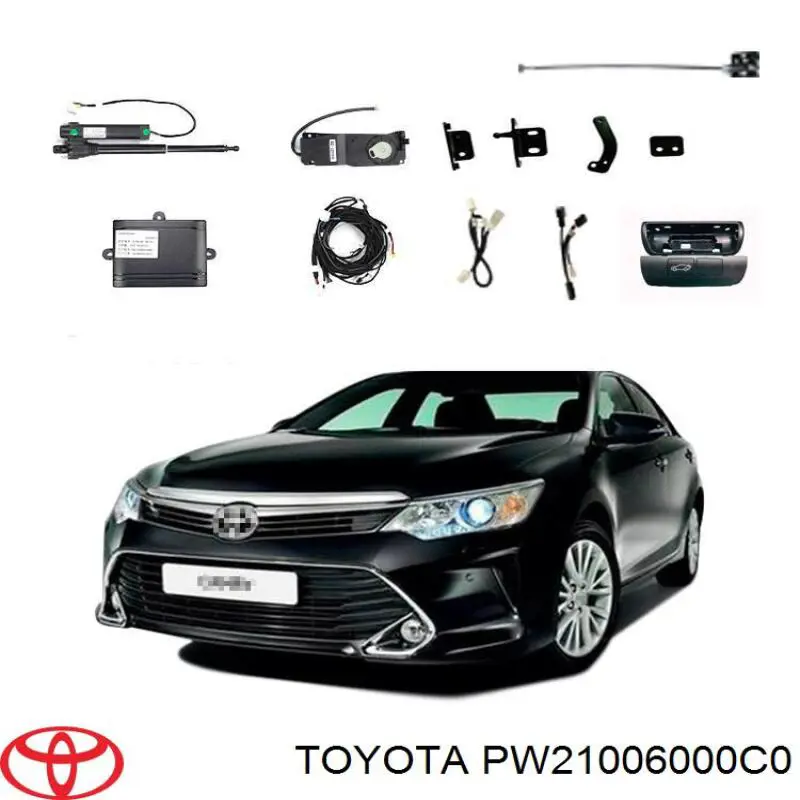 Купити PW21006000C0 Toyota Килимки автомобільні