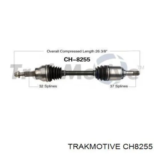 CH8255 Trakmotive/Surtrack 