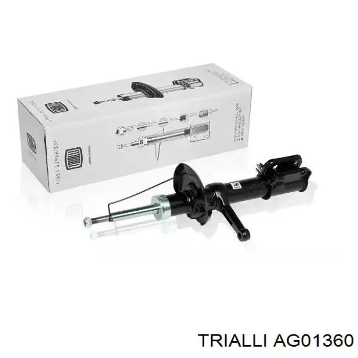 Купити RS217002 Raiso Амортизатор передній, правий