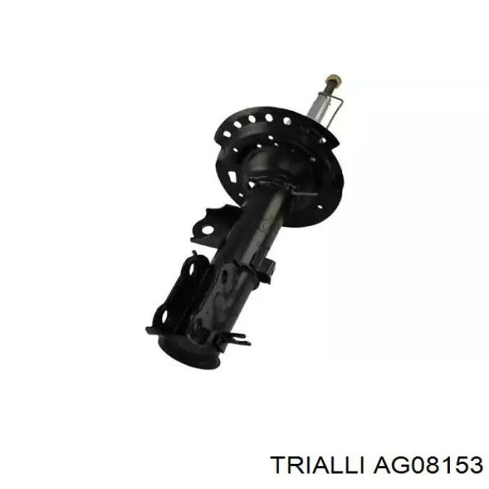 Амортизатор передньої підвіски, лівий Trialli AG08153 ціна, від 64.01 USD