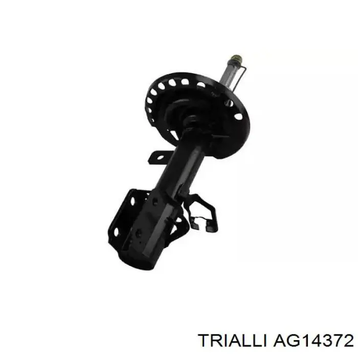 Купити AG14372 Trialli Амортизатор передній, правий