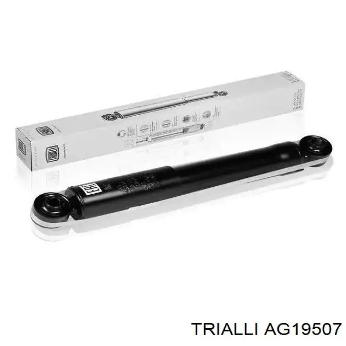 AG19507 Trialli Амортизатор задній, правий