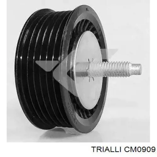 Ролик приводного ременя, паразитний Trialli CM0909 ціна, від 18.61 USD