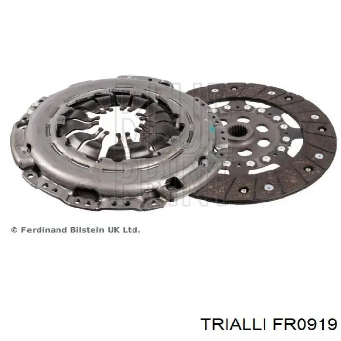 FR0919 Trialli Зчеплення в зборі