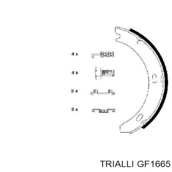 GF1665 Trialli колодки гальмові задні, барабанні