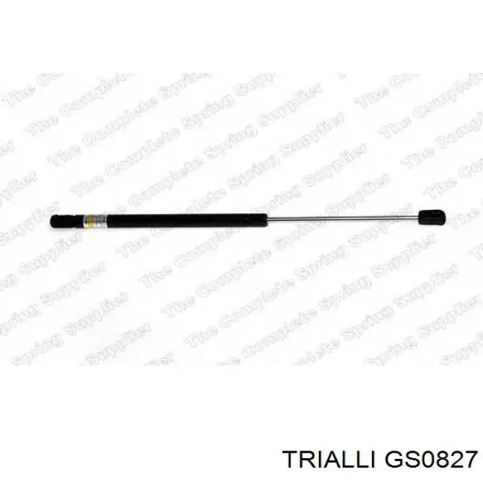 Амортизатор скла задніх, 3/5-ї двері (ляди) Trialli GS0827 ціна, від 8.97 USD