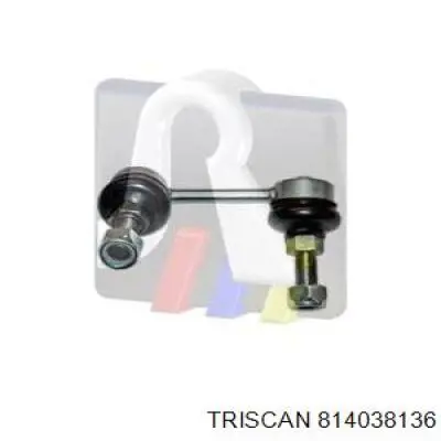 Трос ручного гальма задній, правий/лівий 814038136 Triscan