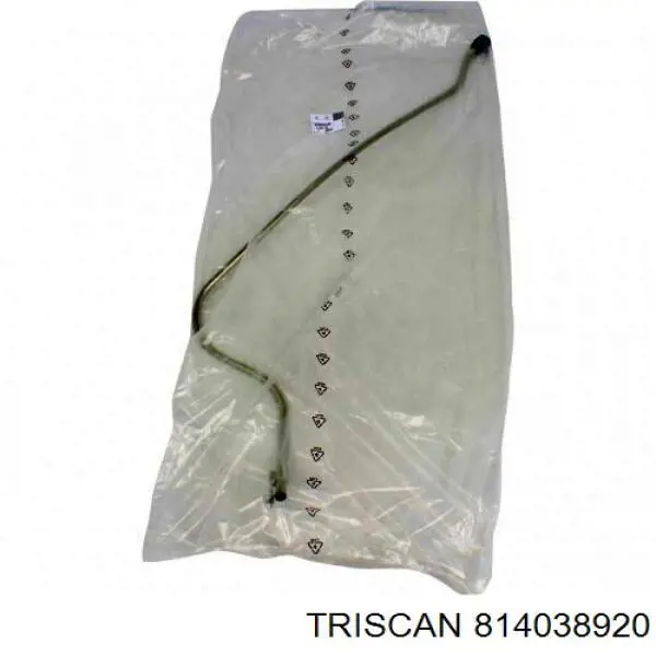 Напрямна троса ручного гальма Triscan 814038920 ціна, від 39.36 USD