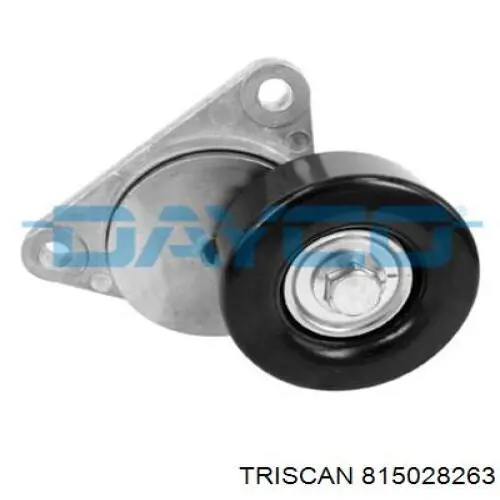 815028263 Triscan Шланг гальмівний задній, правий