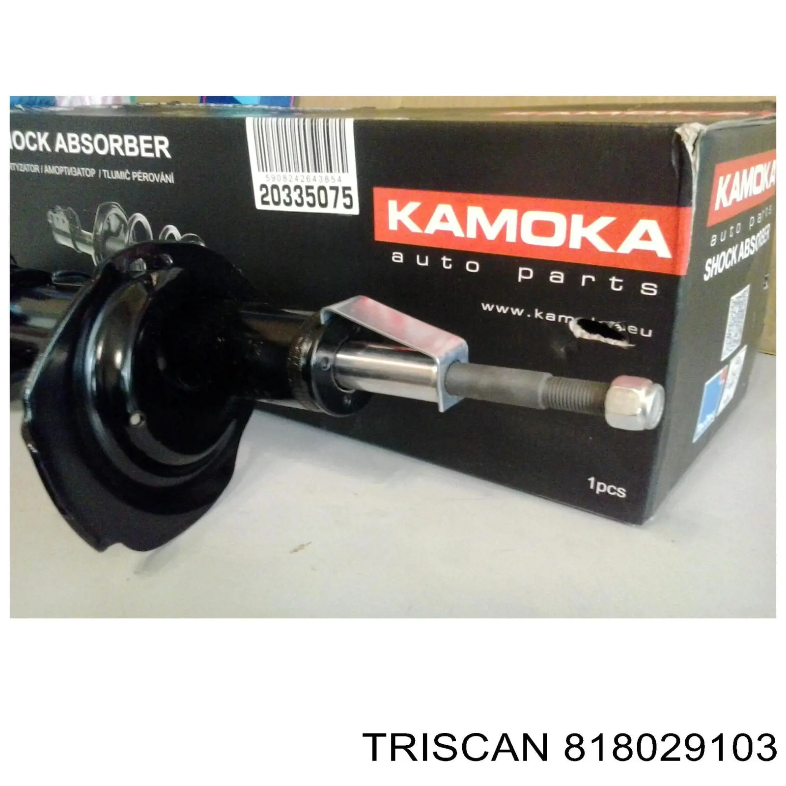 Датчик АБС (ABS) передній, правий 818029103 Triscan