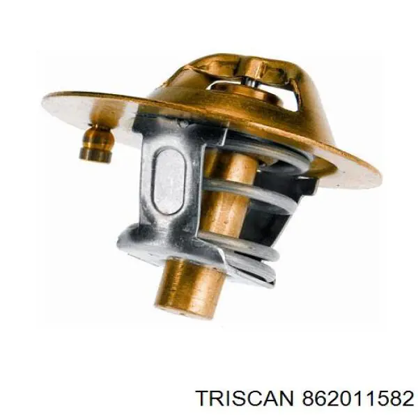 Термостат в зборі Triscan 862011582