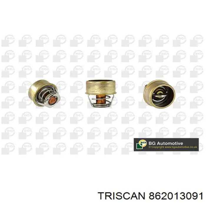 Купити 862013091 Triscan Термостат в корпусі