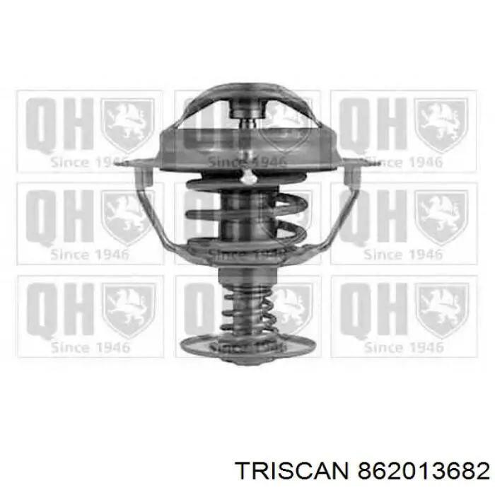 Купити 862013682 Triscan Термостат в корпусі