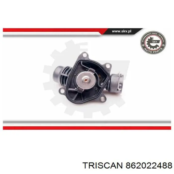 Термостат 862022488 Triscan
