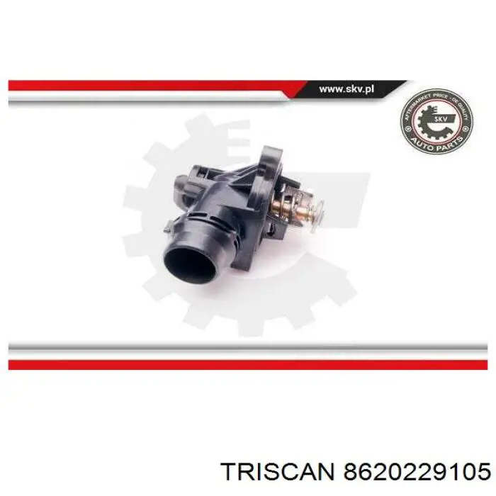 Термостат 8620229105 Triscan