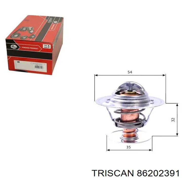 Термостат в зборі Triscan 86202391