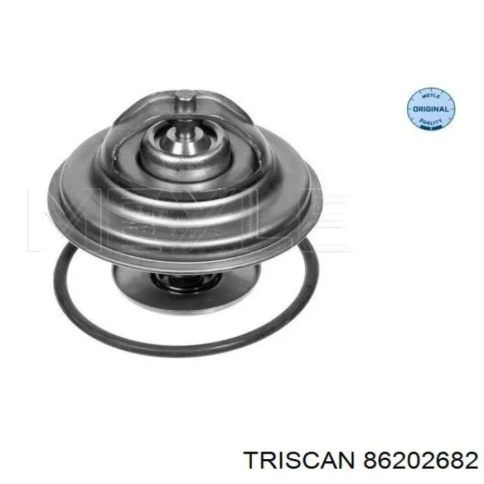 Термостат в зборі Triscan 86202682