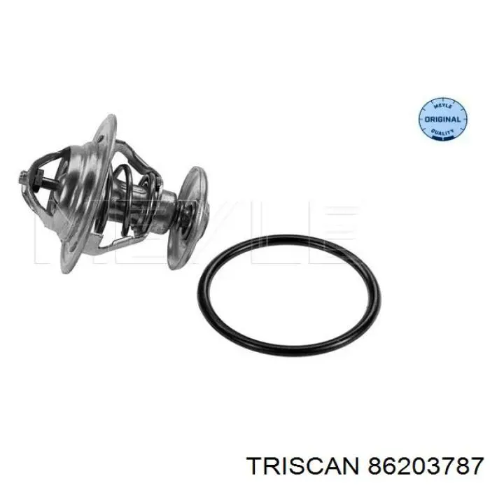 Купити 86203787 Triscan Термостат в корпусі