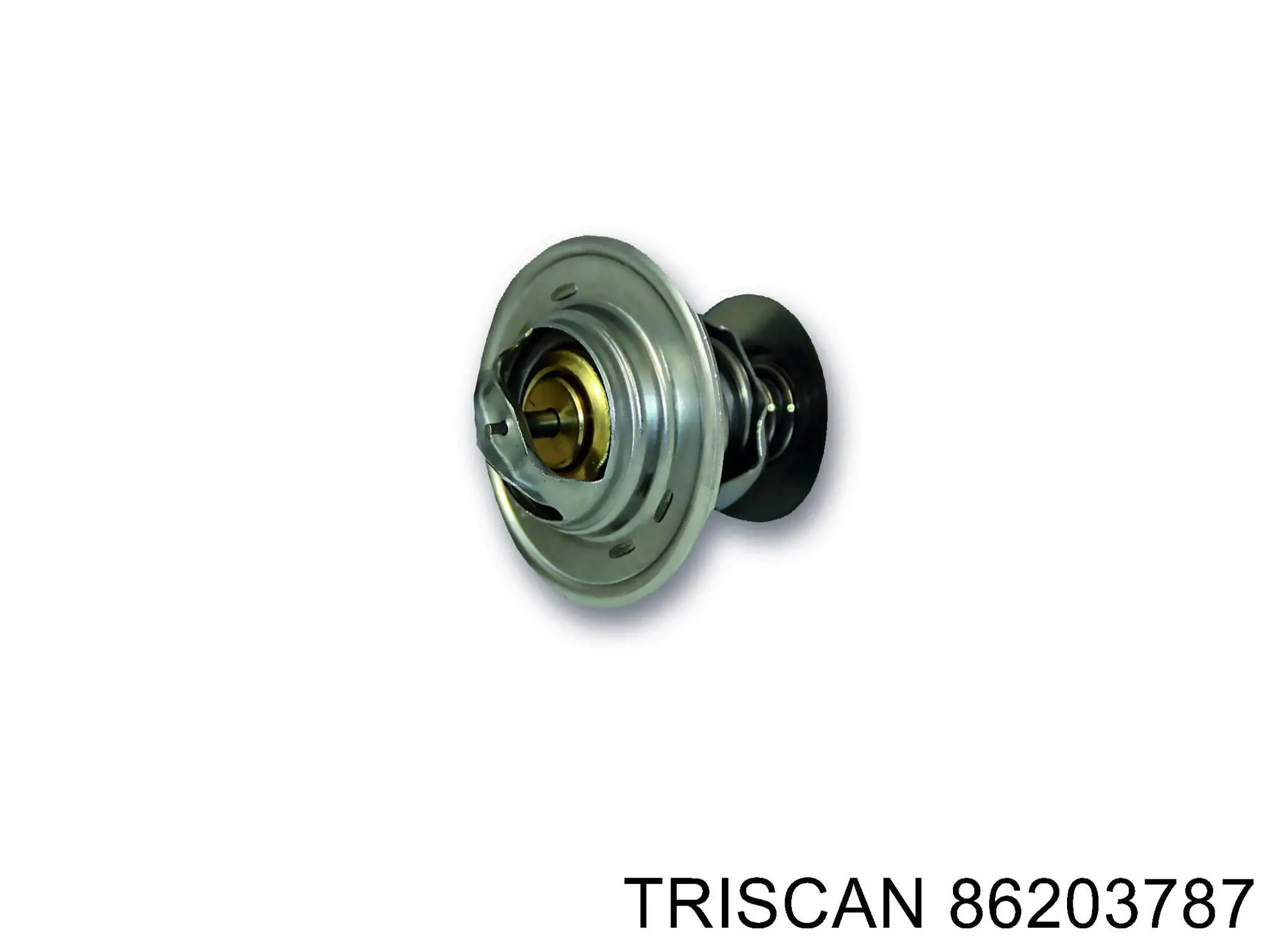 Купити 86203787 Triscan Термостат в корпусі