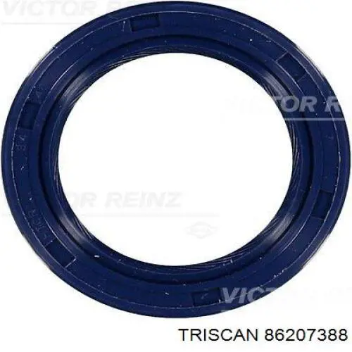 Купити 86207388 Triscan Термостат в корпусі
