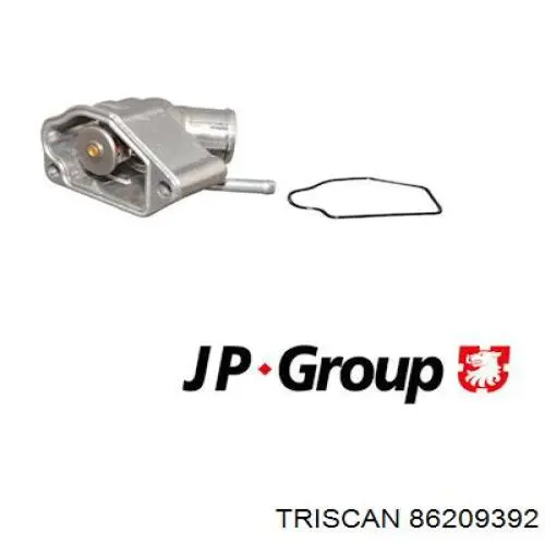 Термостат в зборі Triscan 86209392