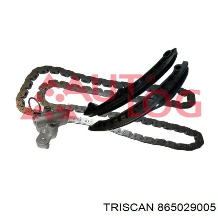 Комплект ланцюга ГРМ 865029005 Triscan