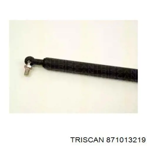 871013219 Triscan амортизатор кришки багажника/ двері 3/5-ї задньої