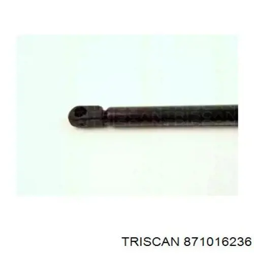 871016236 Triscan амортизатор кришки багажника/ двері 3/5-ї задньої
