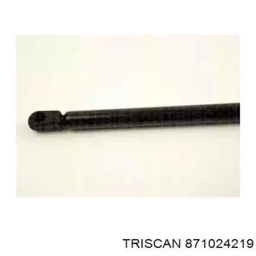 871024219 Triscan амортизатор кришки багажника/ двері 3/5-ї задньої