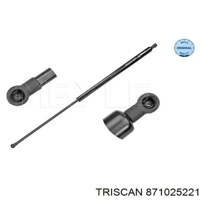Амортизатор кришки багажника Triscan 871025221