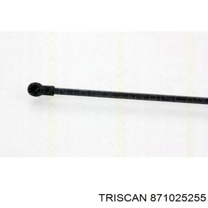 871025255 Triscan амортизатор кришки багажника/ двері 3/5-ї задньої