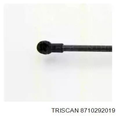 Амортизатор двері задньої Kamoka 7092597 ціна, від 10.06 USD