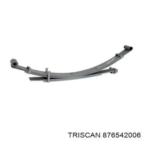 876542006 Triscan Ресора (задня)
