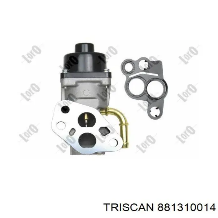 Клапан EGR рециркуляції газів Triscan 881310014