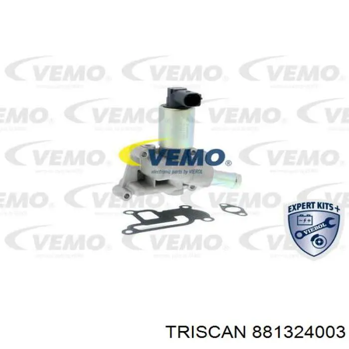 Клапан EGR Triscan 881324003 ціна, від 53.85 USD