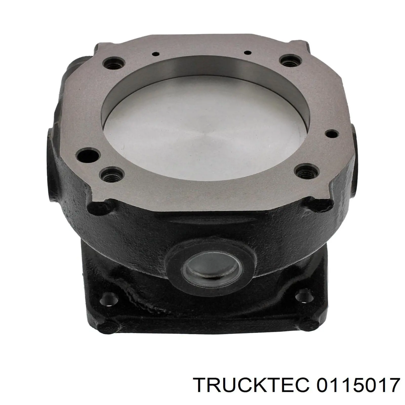 Купити 51541056008 MAN Поршневий комплект компресора (поршень + гільза) (TRUCK)