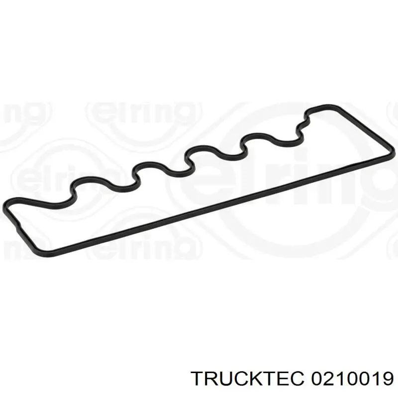 Прокладка клапанної кришки двигуна 0210019 Trucktec