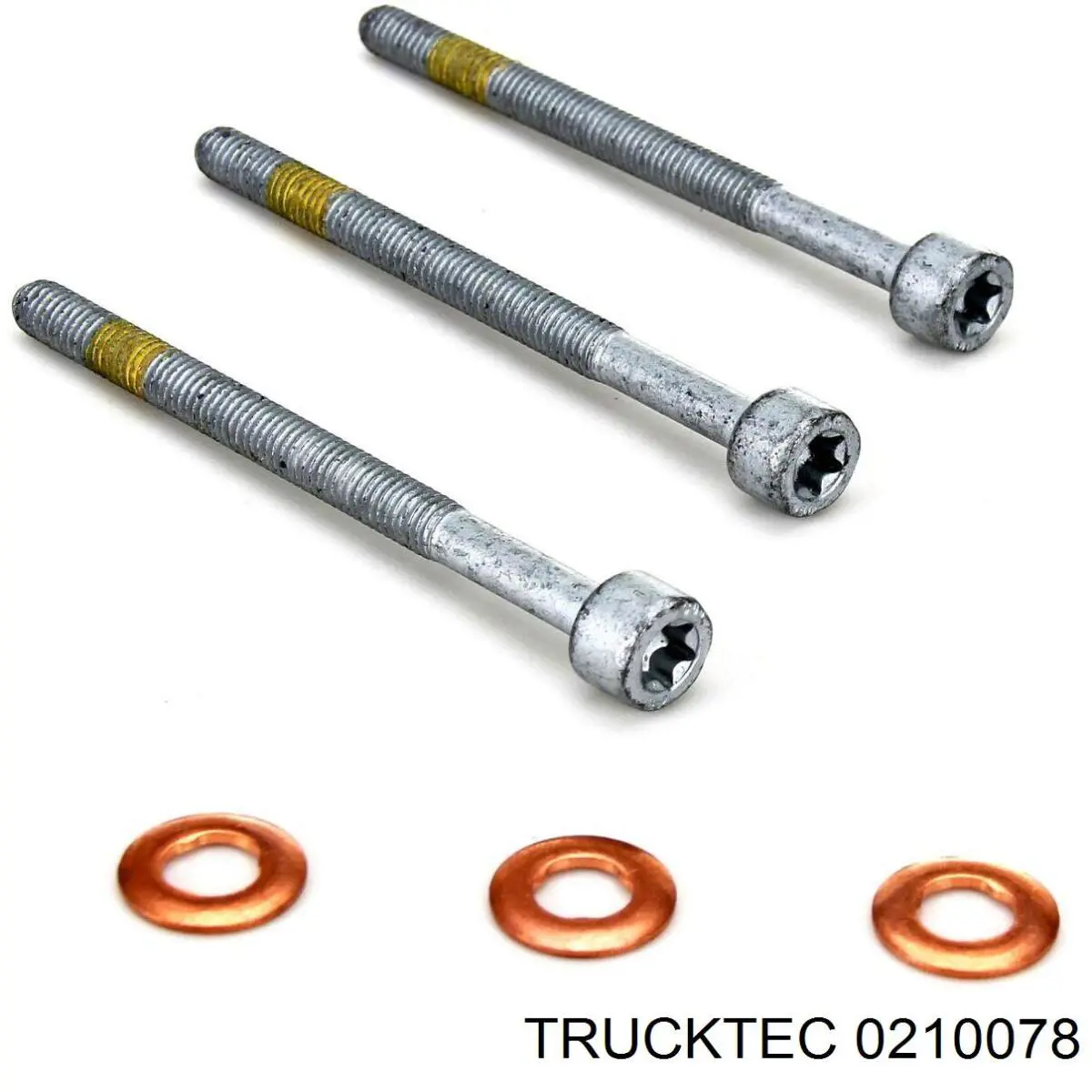 0210078 Trucktec Кільце інжектора