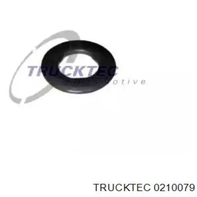 Кільце форсунки 108015 Solgy
