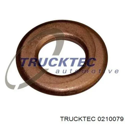 0210079 Trucktec кільце форсунки інжектора, посадочне