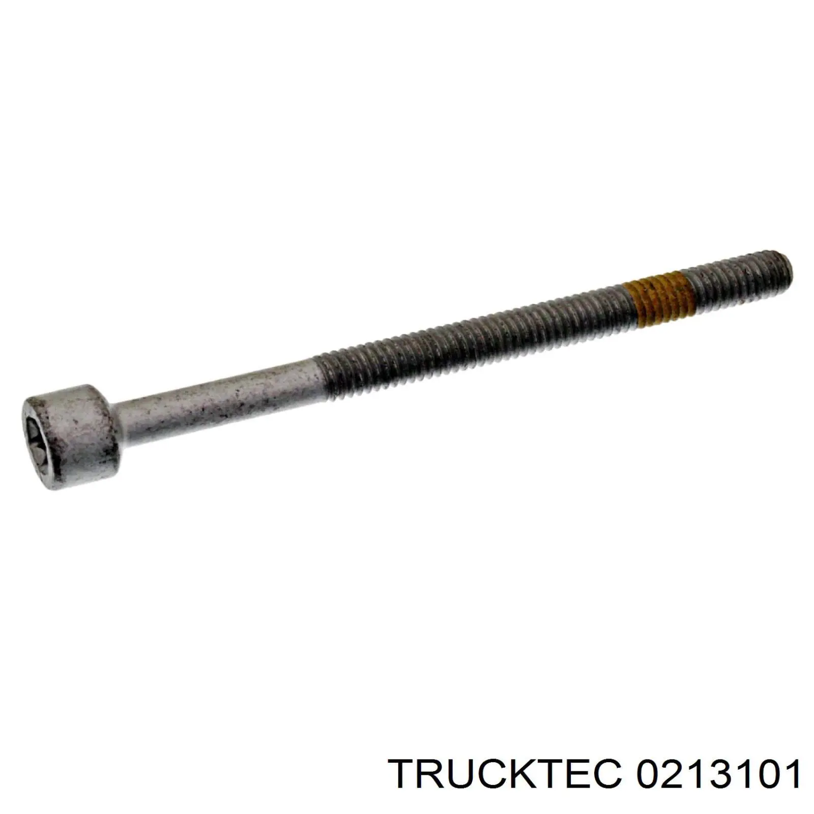 0213101 Trucktec болт кріплення форсунки