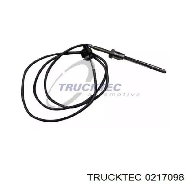 Купити 0217098 Trucktec Датчик температури відпрацьованих газів (ВГ), в каталізаторі