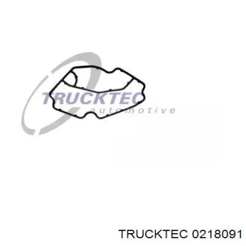 Купити 0218091 Trucktec Прокладка адаптера маслянного фільтра