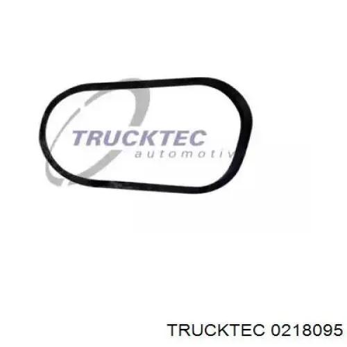 0218095 Trucktec прокладка радіатора масляного
