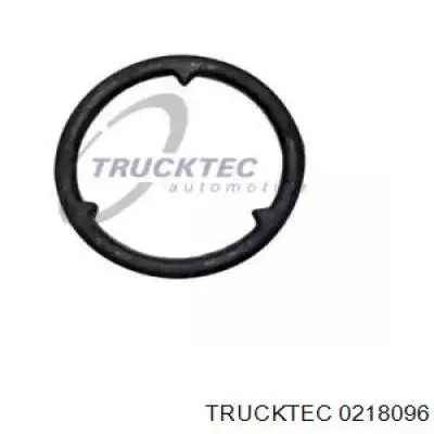 Купити 0218096 Trucktec Прокладка радіатора масляного