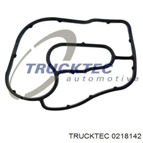 Прокладка адаптера маслянного фільтра 0218142 Trucktec