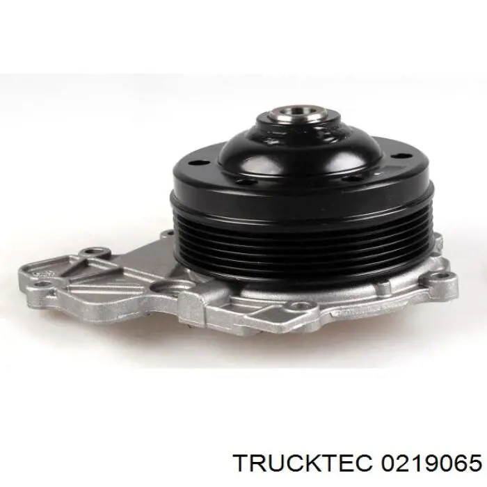 0219065 Trucktec помпа водяна, (насос охолодження)