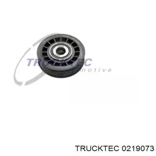 Ролик приводного ременя, паразитний Trucktec 0219073 ціна, від 10.04 USD