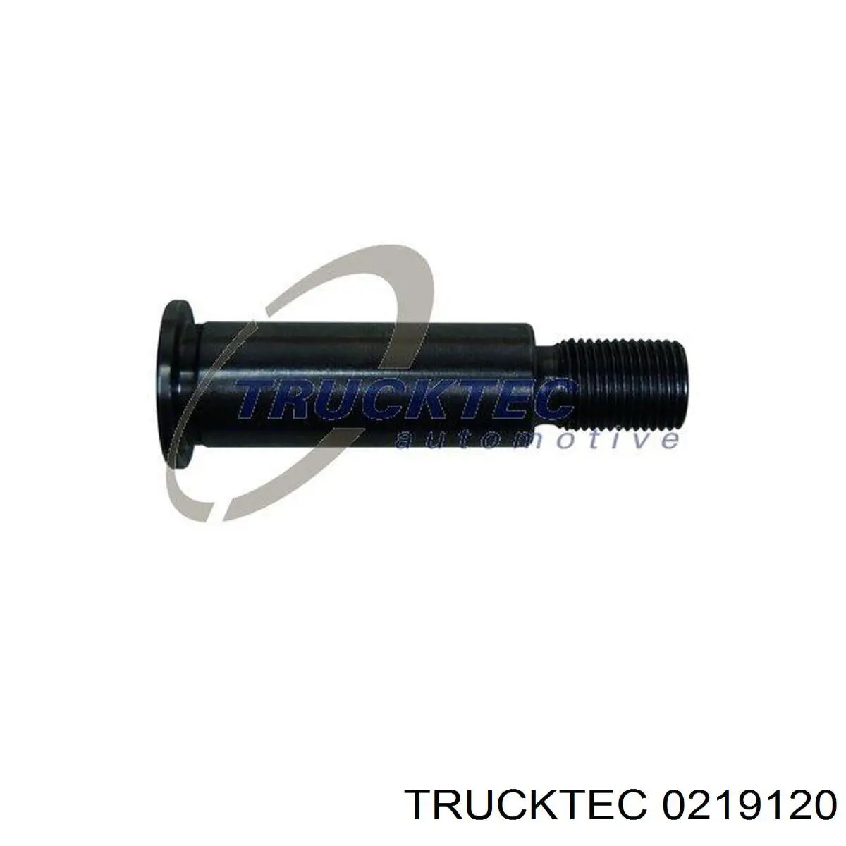 0219120 Trucktec кронштейн натягувача приводного ременя
