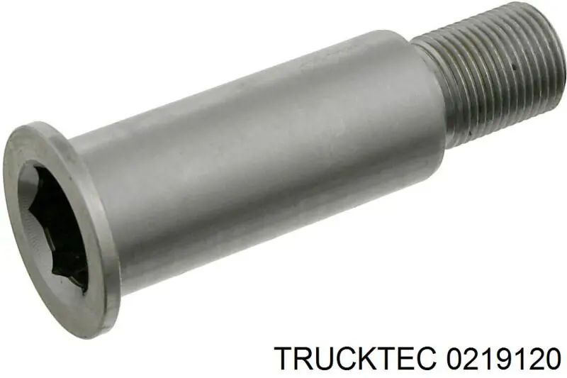 Кронштейн натягувача приводного ременя Trucktec 0219120 ціна, від 17.09 USD
